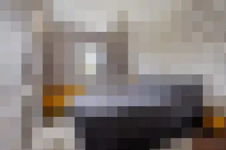 Doktersstraat 17 Ossendrecht thumbnail 29