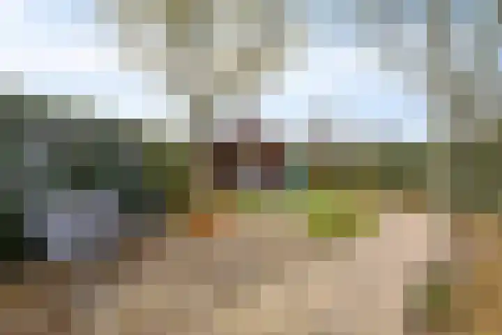 Doktersstraat 17 Ossendrecht thumbnail 36