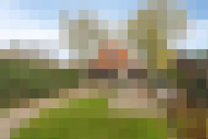 Doktersstraat 17 Ossendrecht thumbnail 39