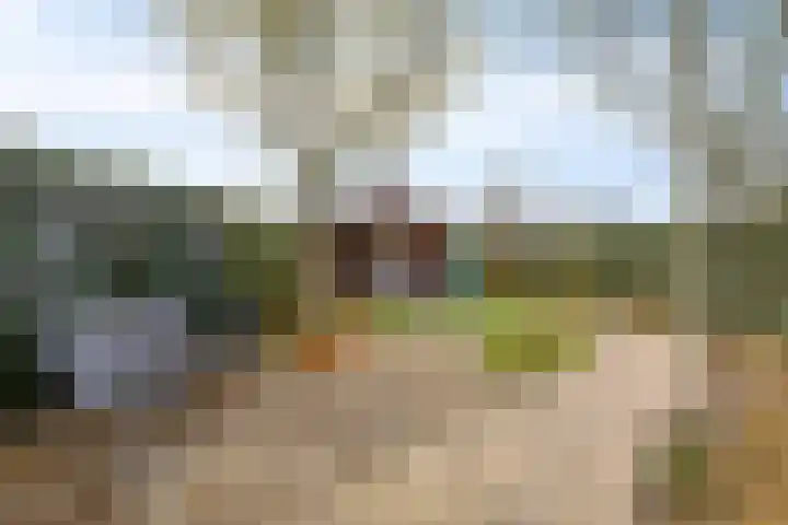 Doktersstraat 17 Ossendrecht thumbnail 5