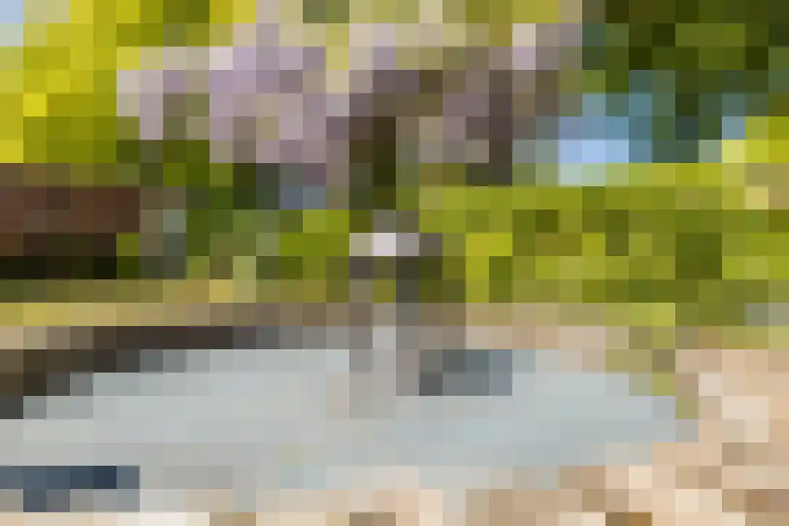 Doktersstraat 3 Ossendrecht thumbnail 38