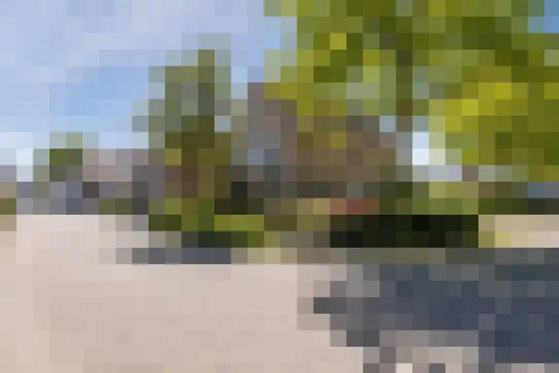 Doktersstraat 3 Ossendrecht thumbnail 40