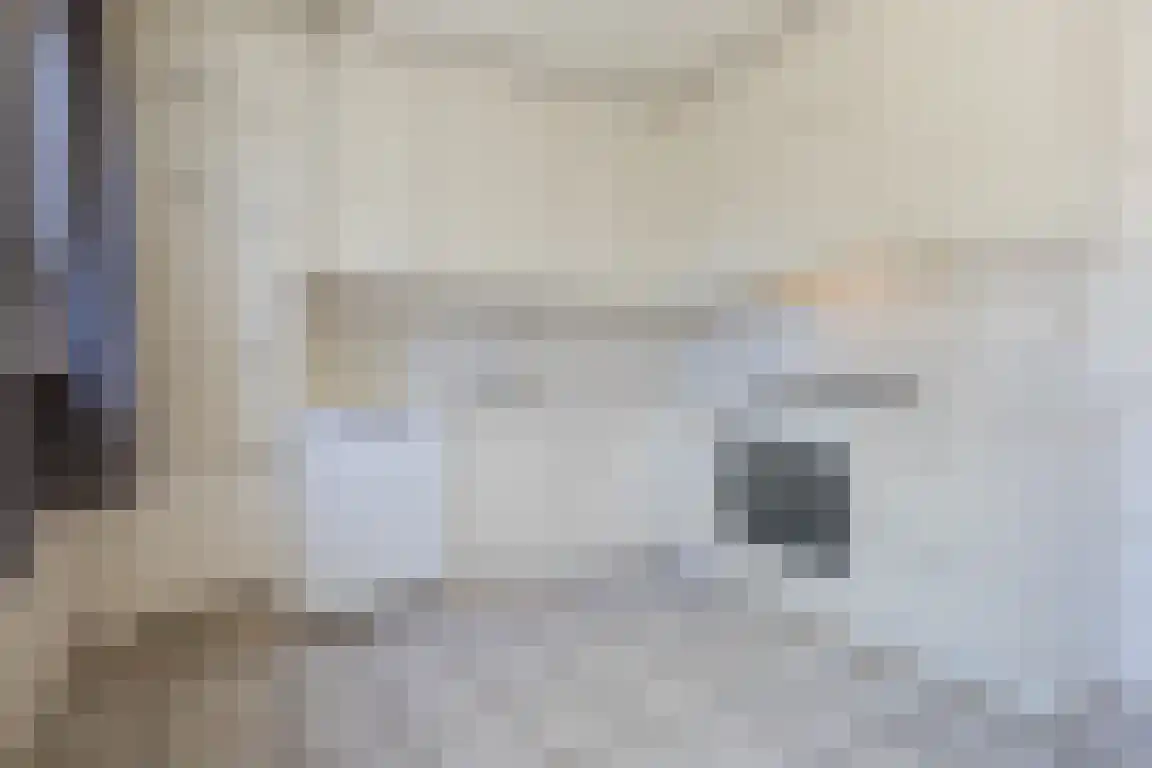 Doktersstraat 3 Ossendrecht thumbnail 9