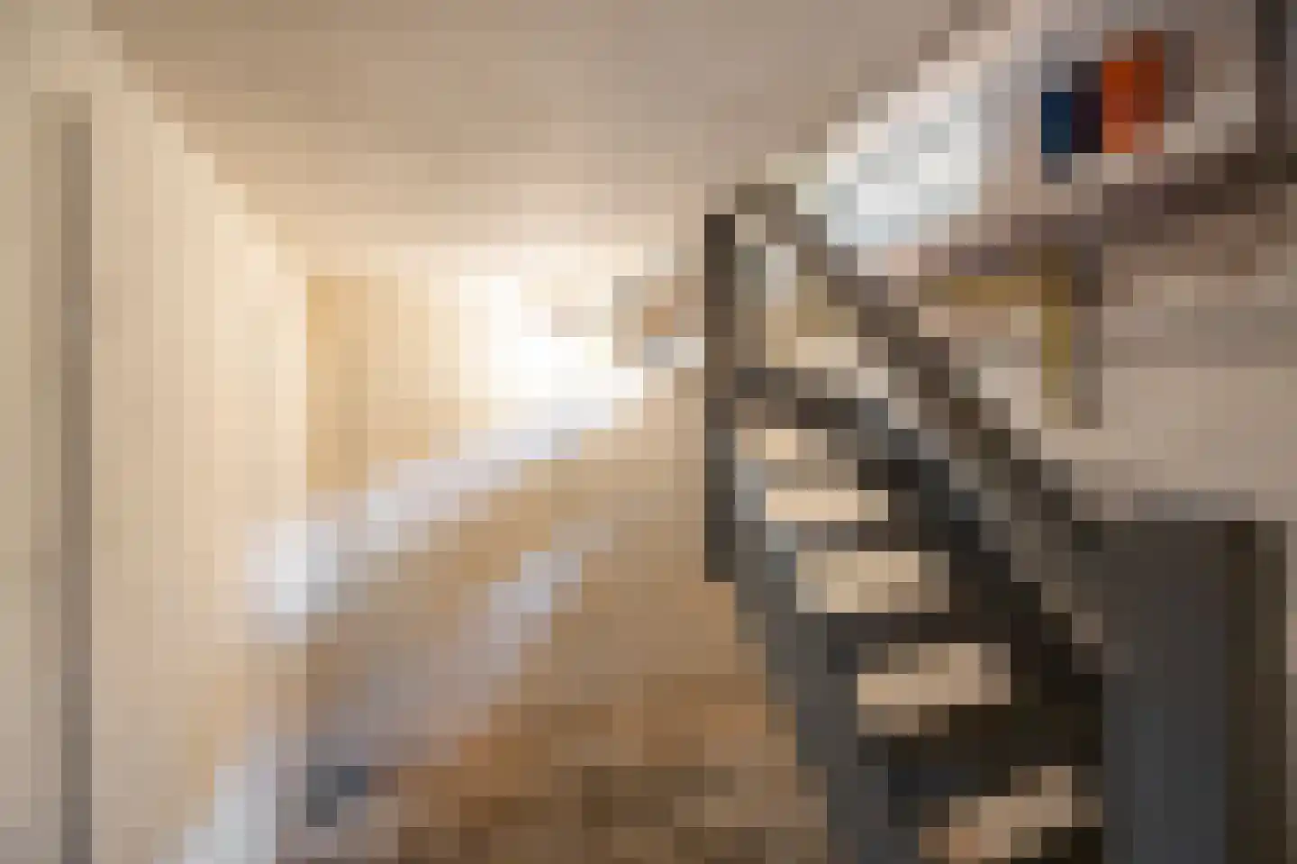 Doktersweg 37 Echt thumbnail 10