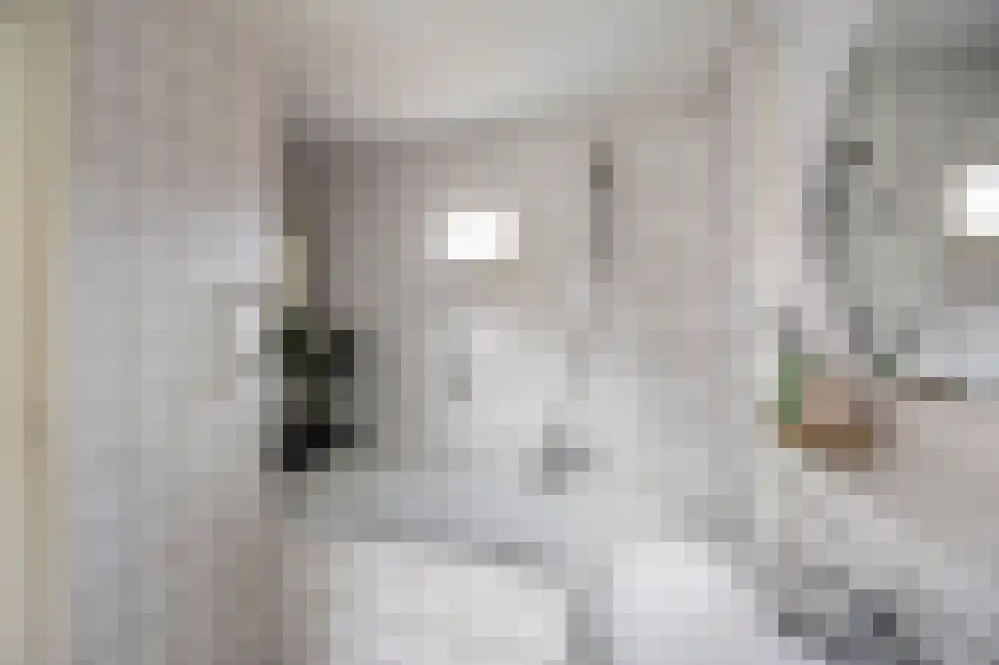 Doktersweg 37 Echt thumbnail 25