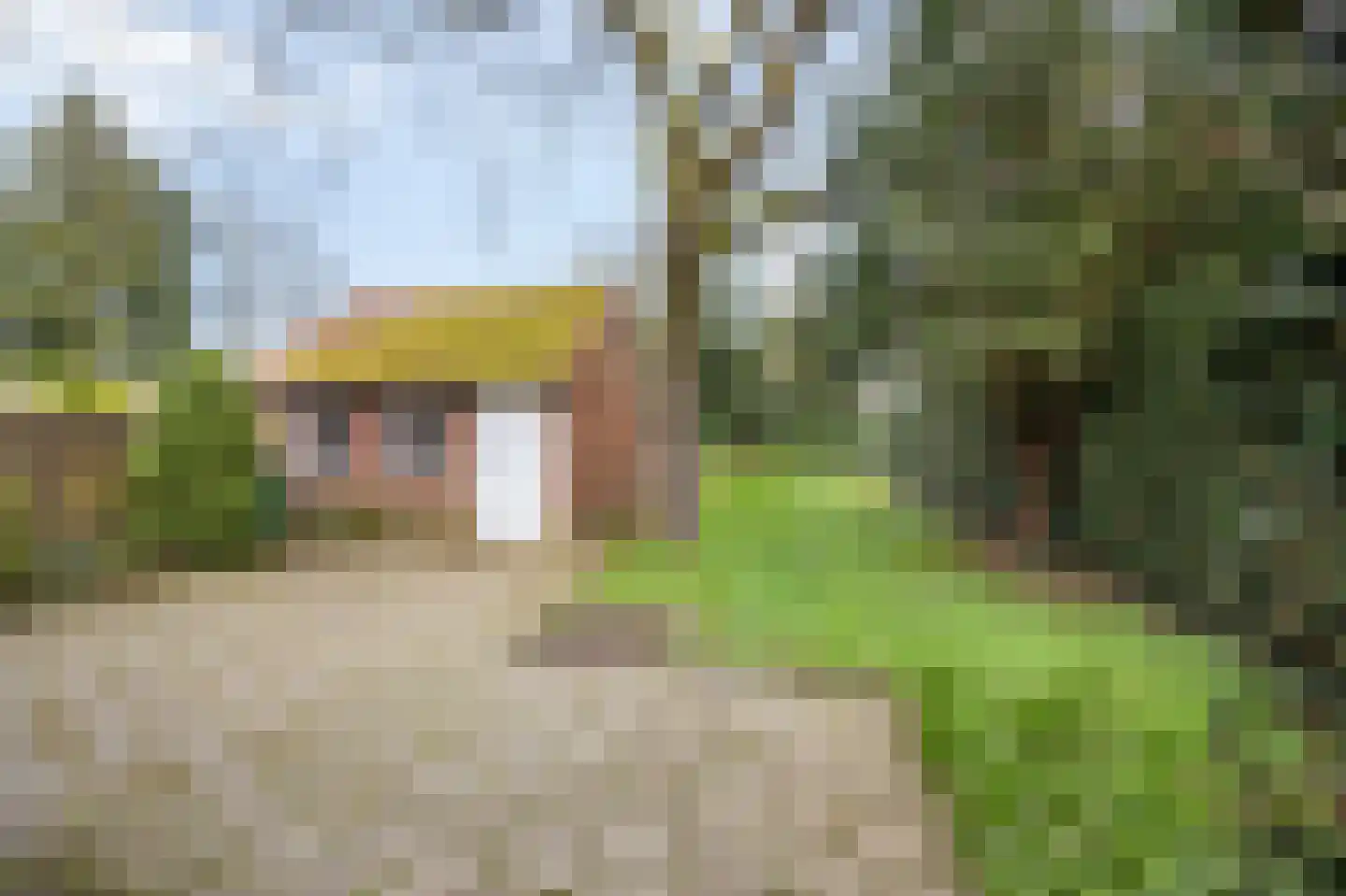 Doktersweg 37 Echt thumbnail 33