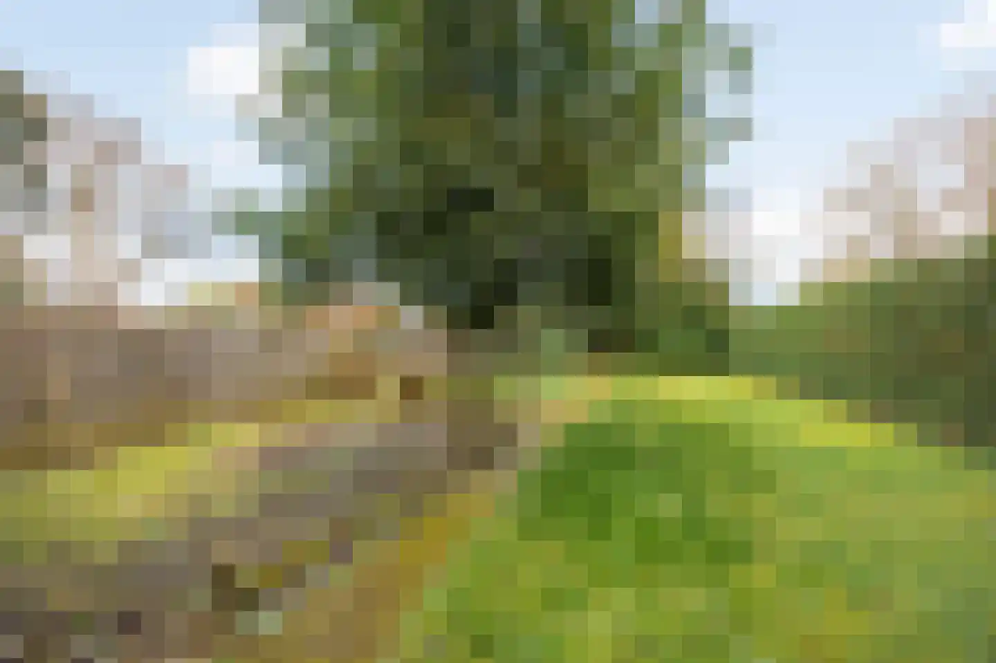 Doktersweg 37 Echt thumbnail 36