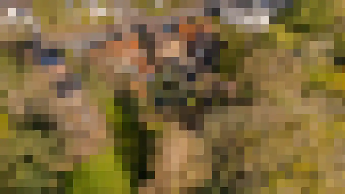 Doktersweg 37 Echt thumbnail 42