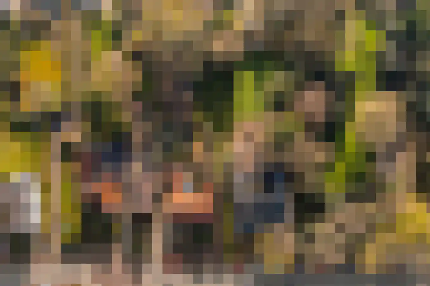 Doktersweg 37 Echt thumbnail 43