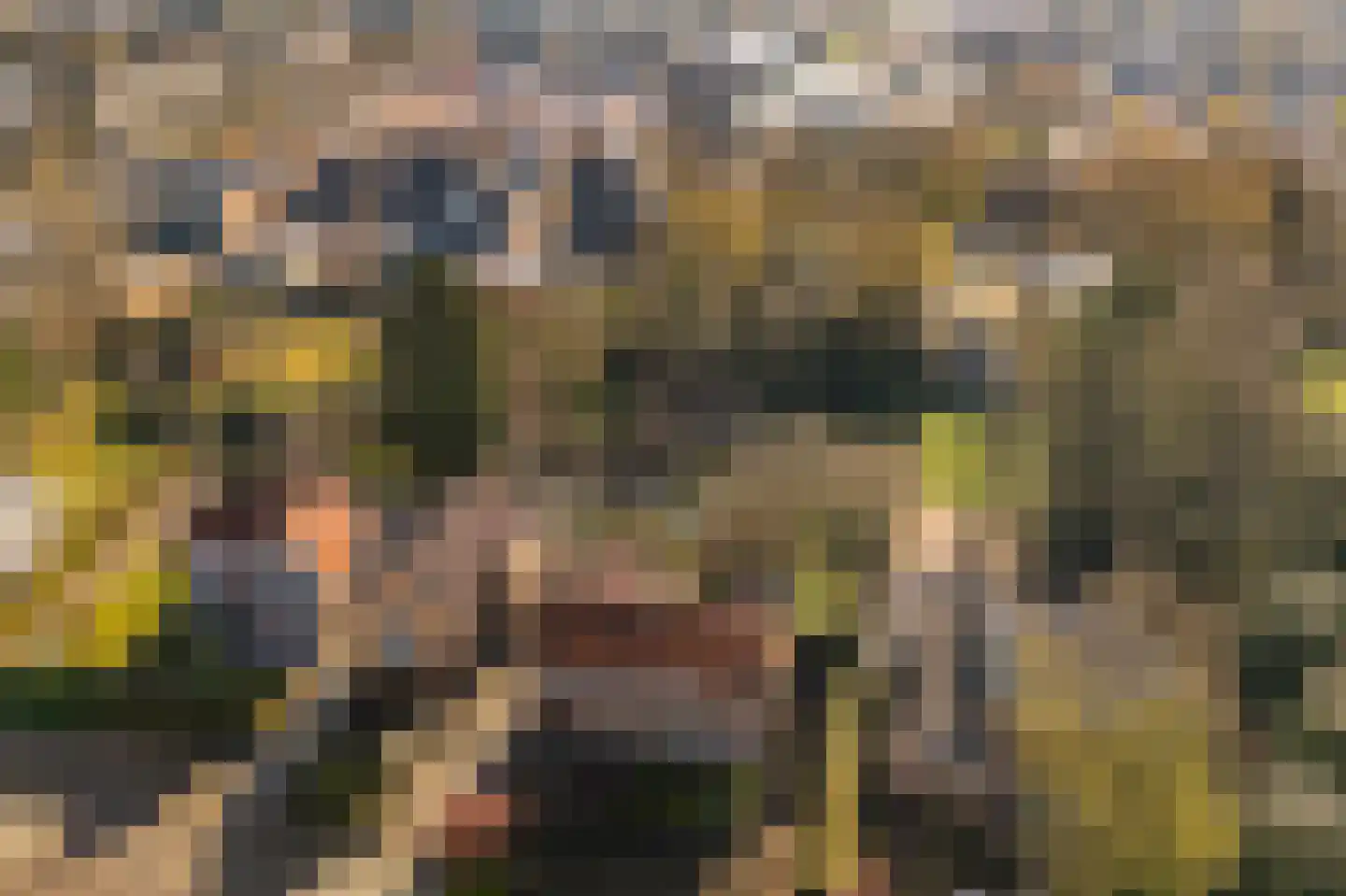 Doktersweg 37 Echt thumbnail 45