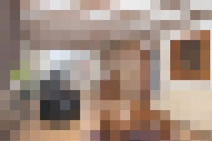 Doktersweg 9 Echt thumbnail 13