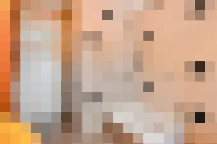 Doktersweg 9 Echt thumbnail 32