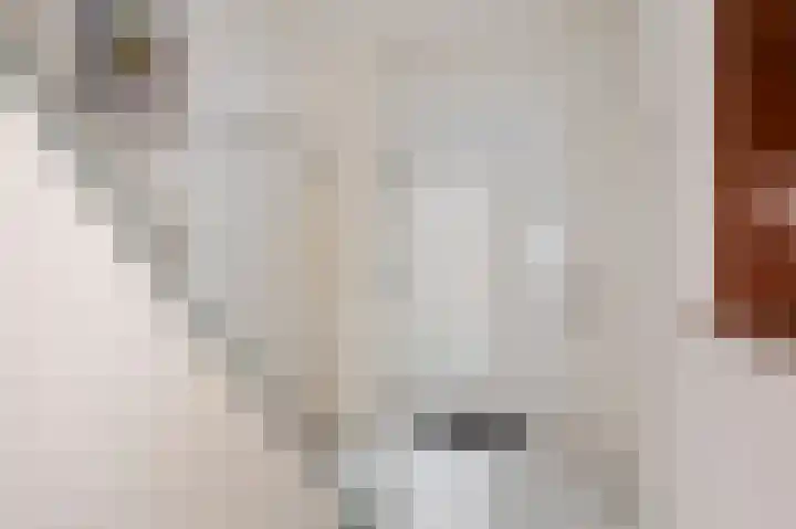Doktersweg 9 Echt thumbnail 9