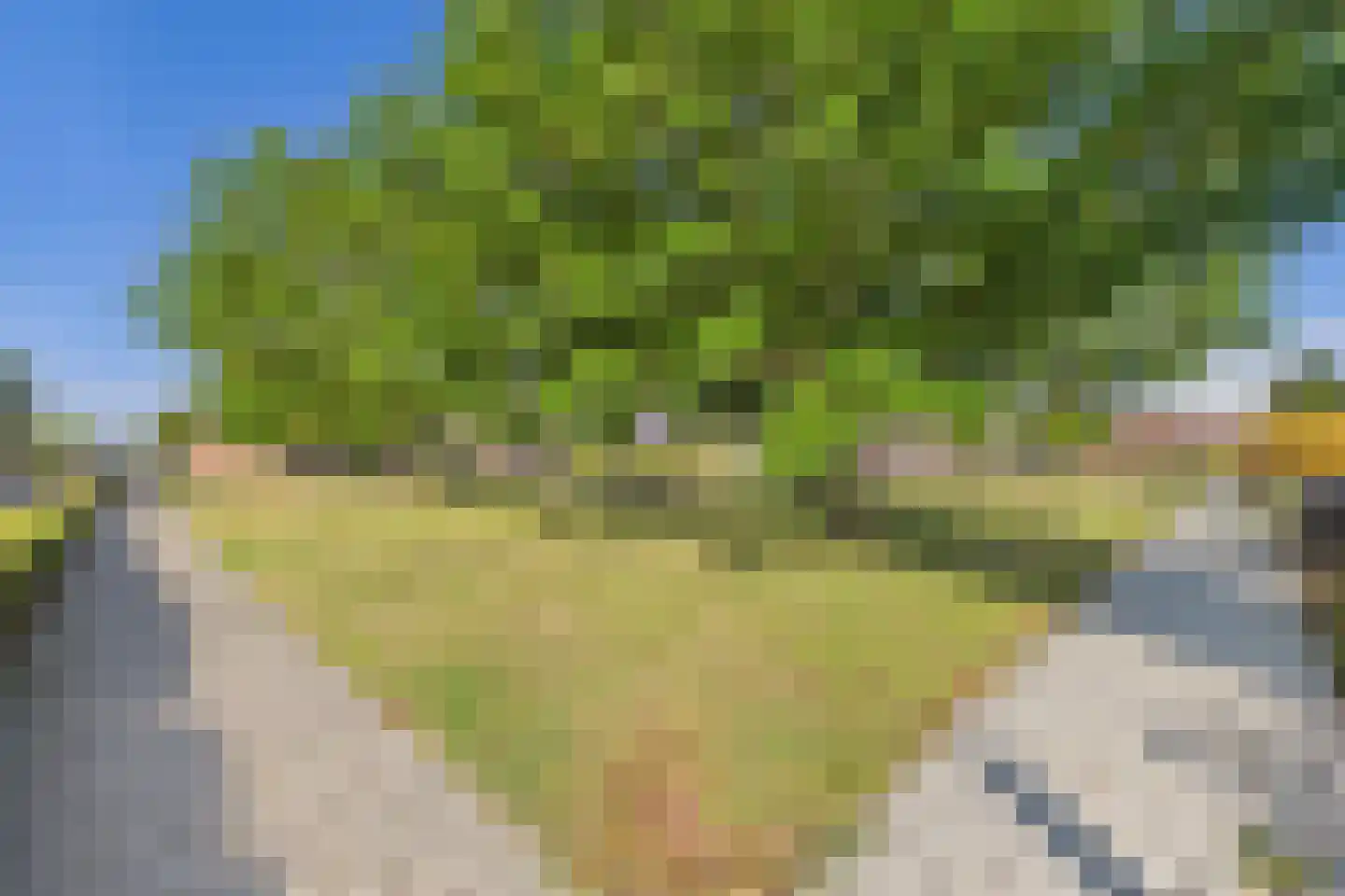 Dokweg 21 Terneuzen thumbnail 26