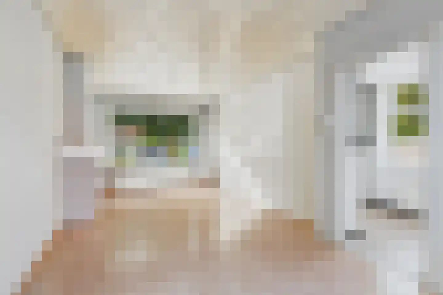 Dokweg 21 Terneuzen thumbnail 8