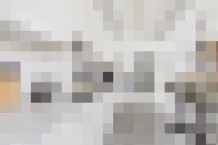 Dokweg 6 Terneuzen thumbnail 14