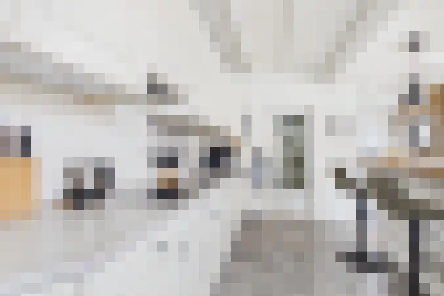 Dokweg 6 Terneuzen thumbnail 14