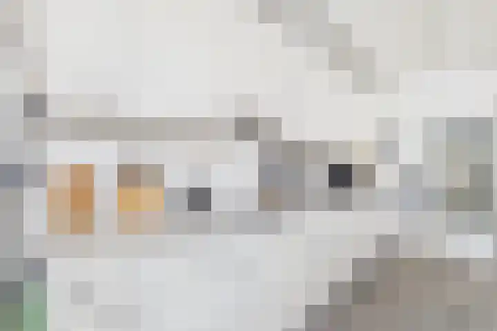 Dokweg 6 Terneuzen thumbnail 15