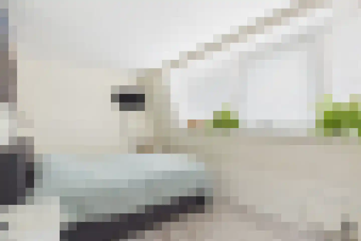 Dokweg 6 Terneuzen thumbnail 22