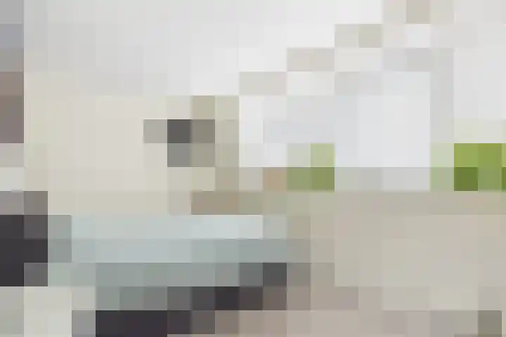 Dokweg 6 Terneuzen thumbnail 22