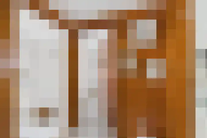 Dokweg 6 Terneuzen thumbnail 28