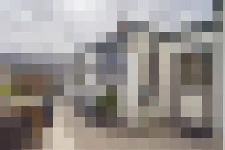 Dokweg 6 Terneuzen thumbnail 33