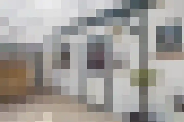 Dokweg 6 Terneuzen thumbnail 36
