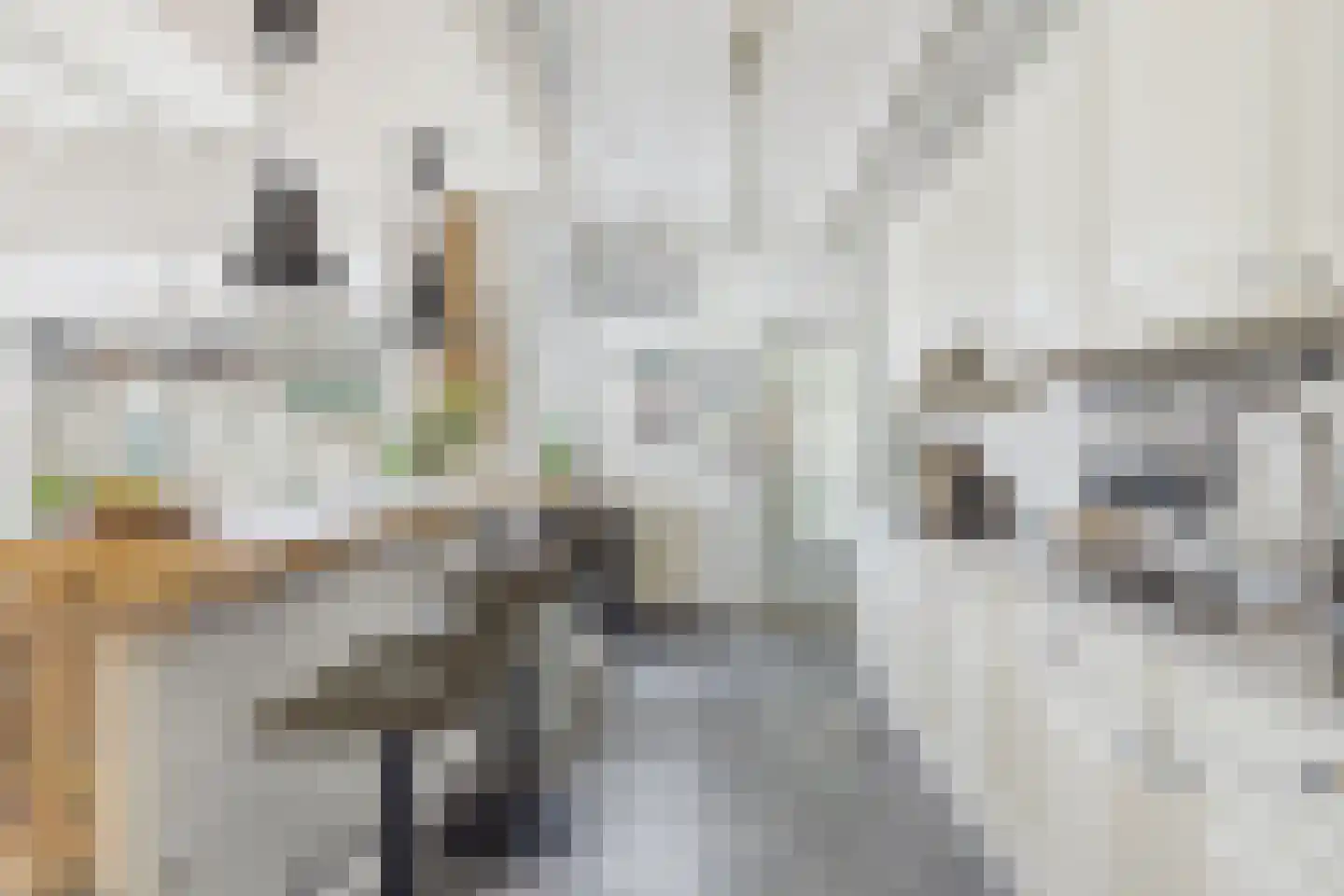 Dokweg 6 Terneuzen thumbnail 5