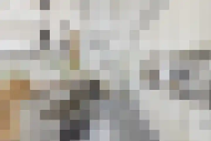Dokweg 6 Terneuzen thumbnail 5