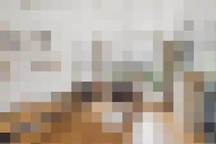 Dokweg 6 Terneuzen thumbnail 7