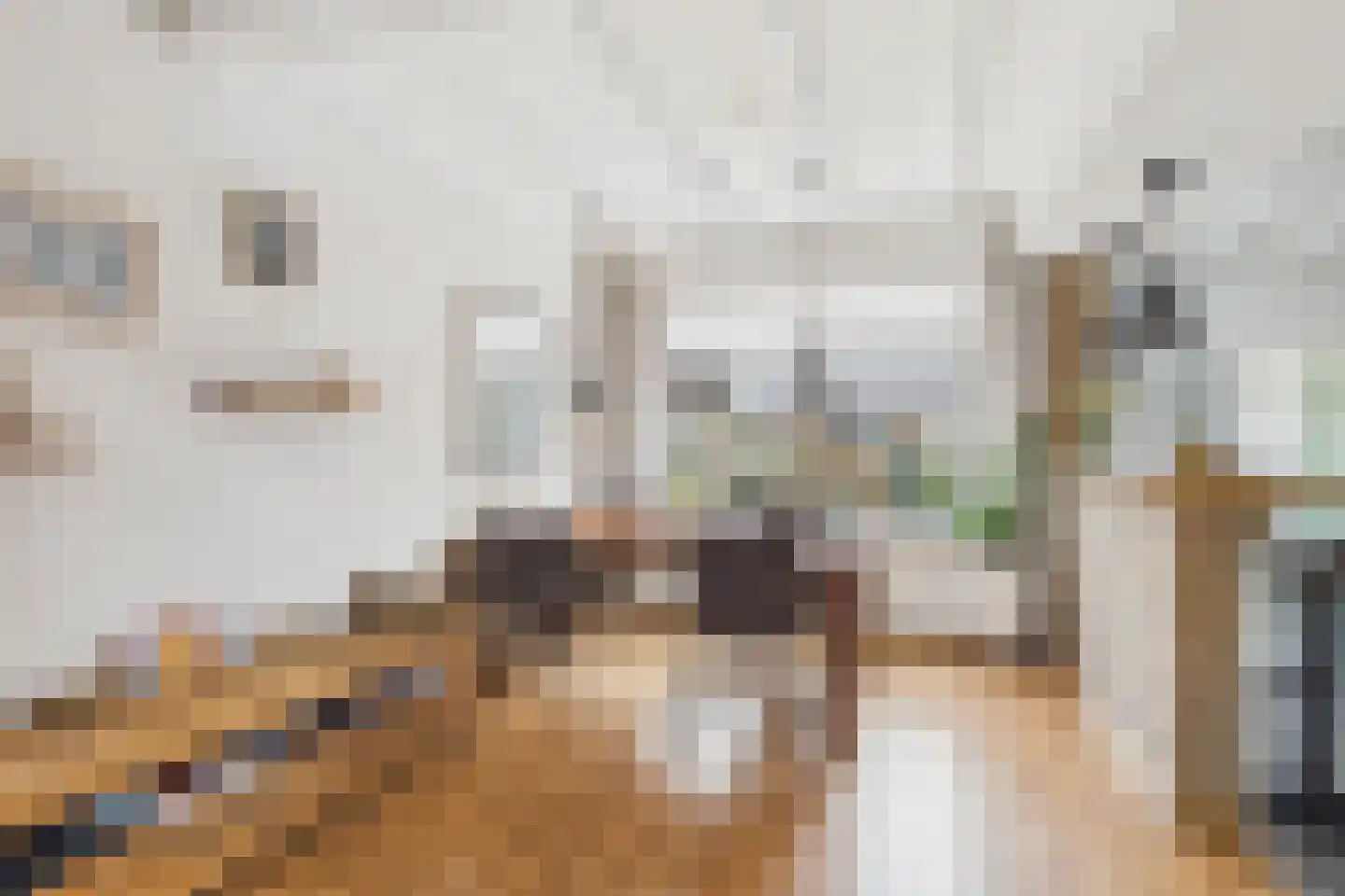 Dokweg 6 Terneuzen thumbnail 7
