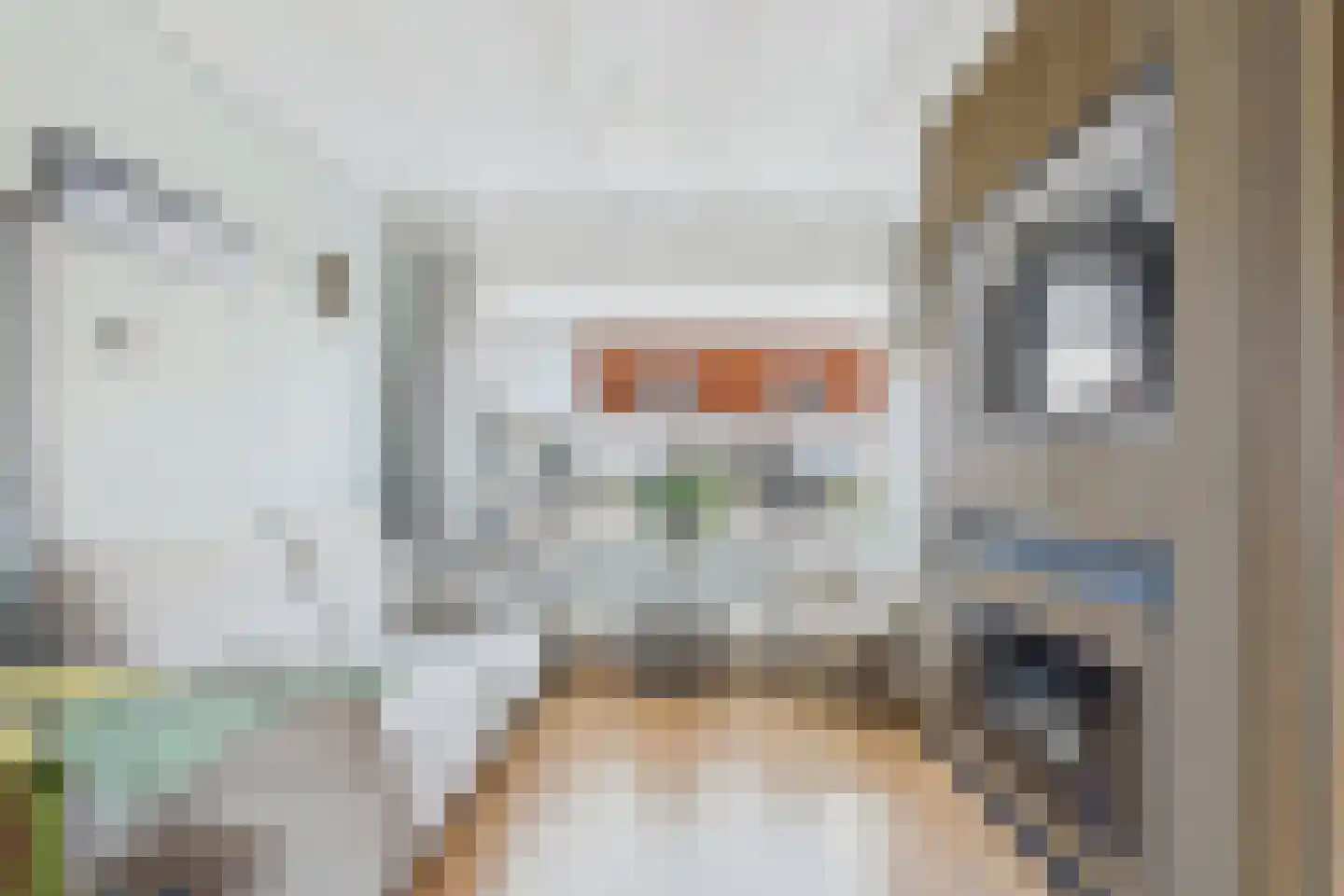 Dokweg 6 Terneuzen thumbnail 8