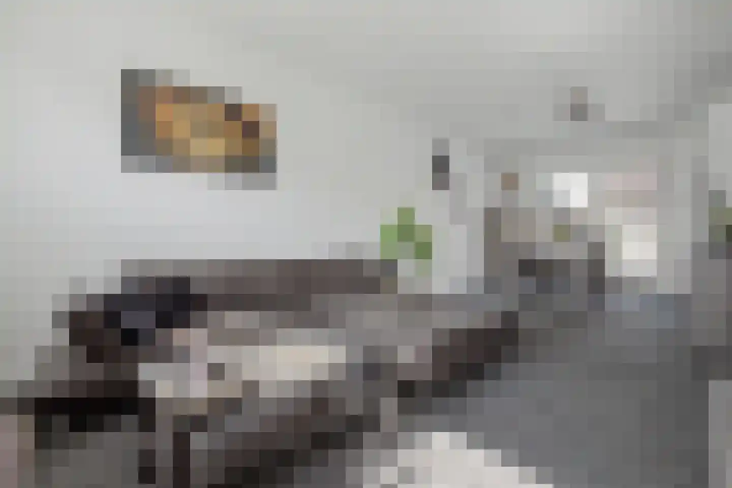 Dokweg 9 Terneuzen thumbnail 8