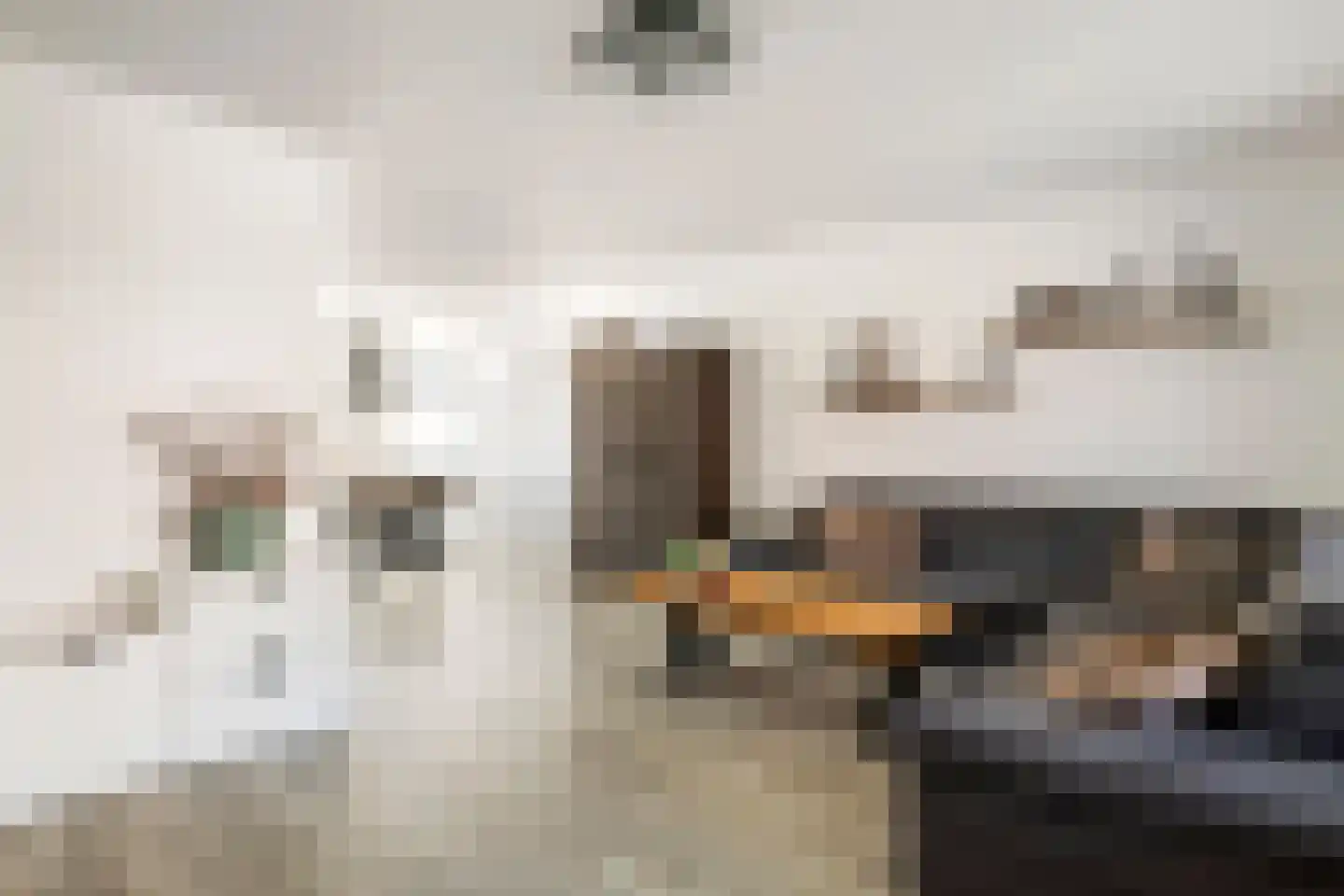 Dolderd 25 Druten thumbnail 12