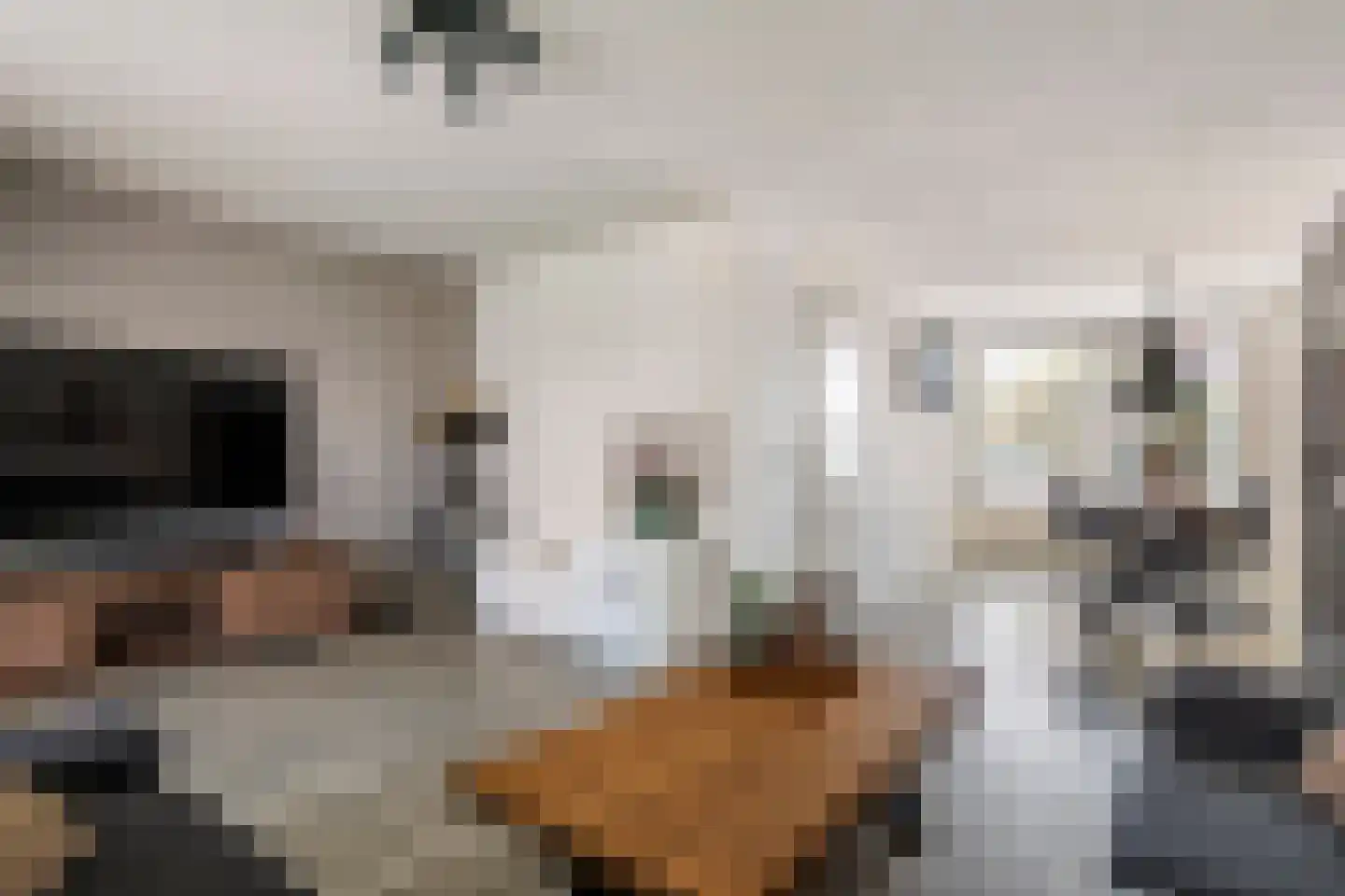 Dolderd 25 Druten thumbnail 13