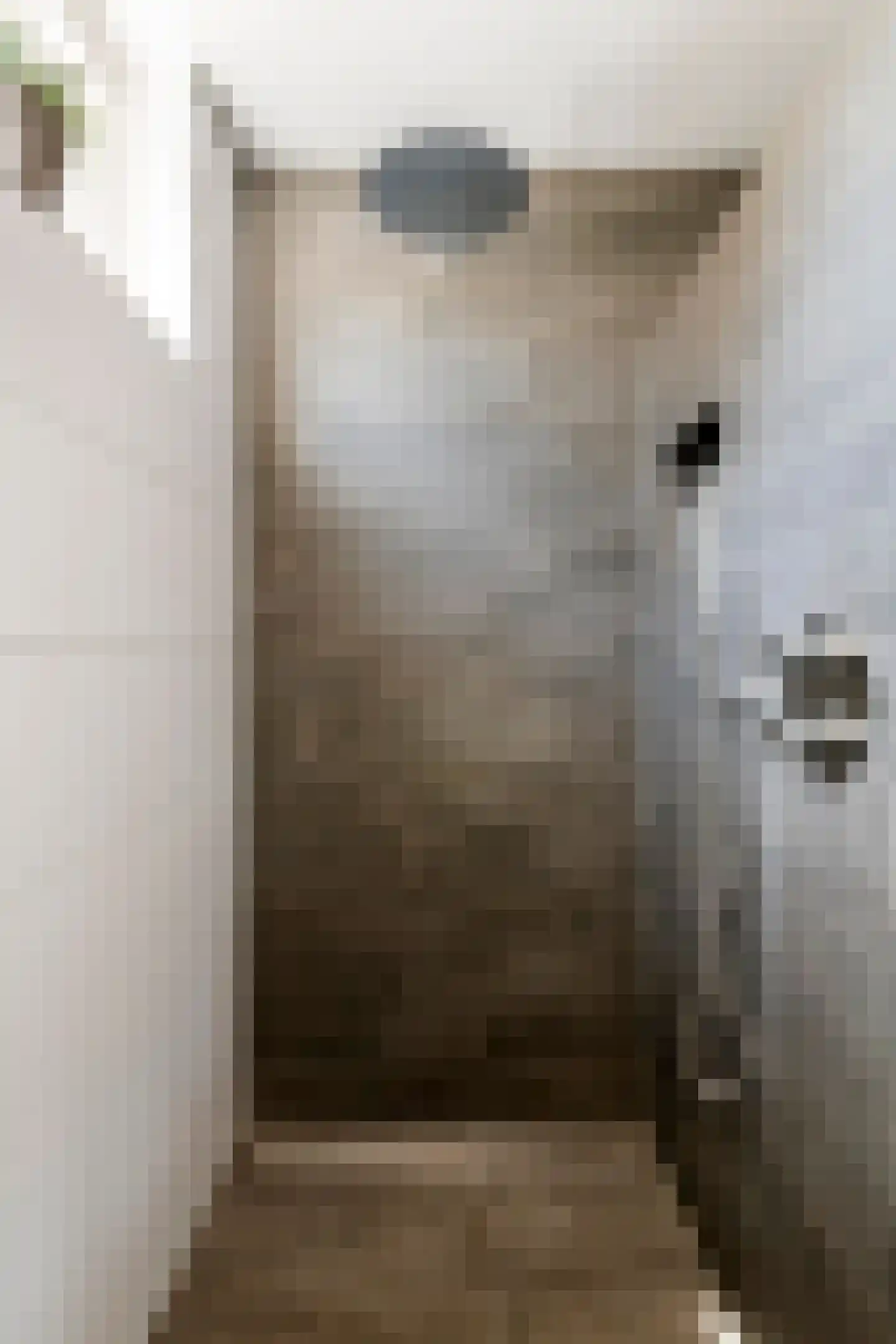 Dolderd 25 Druten thumbnail 27