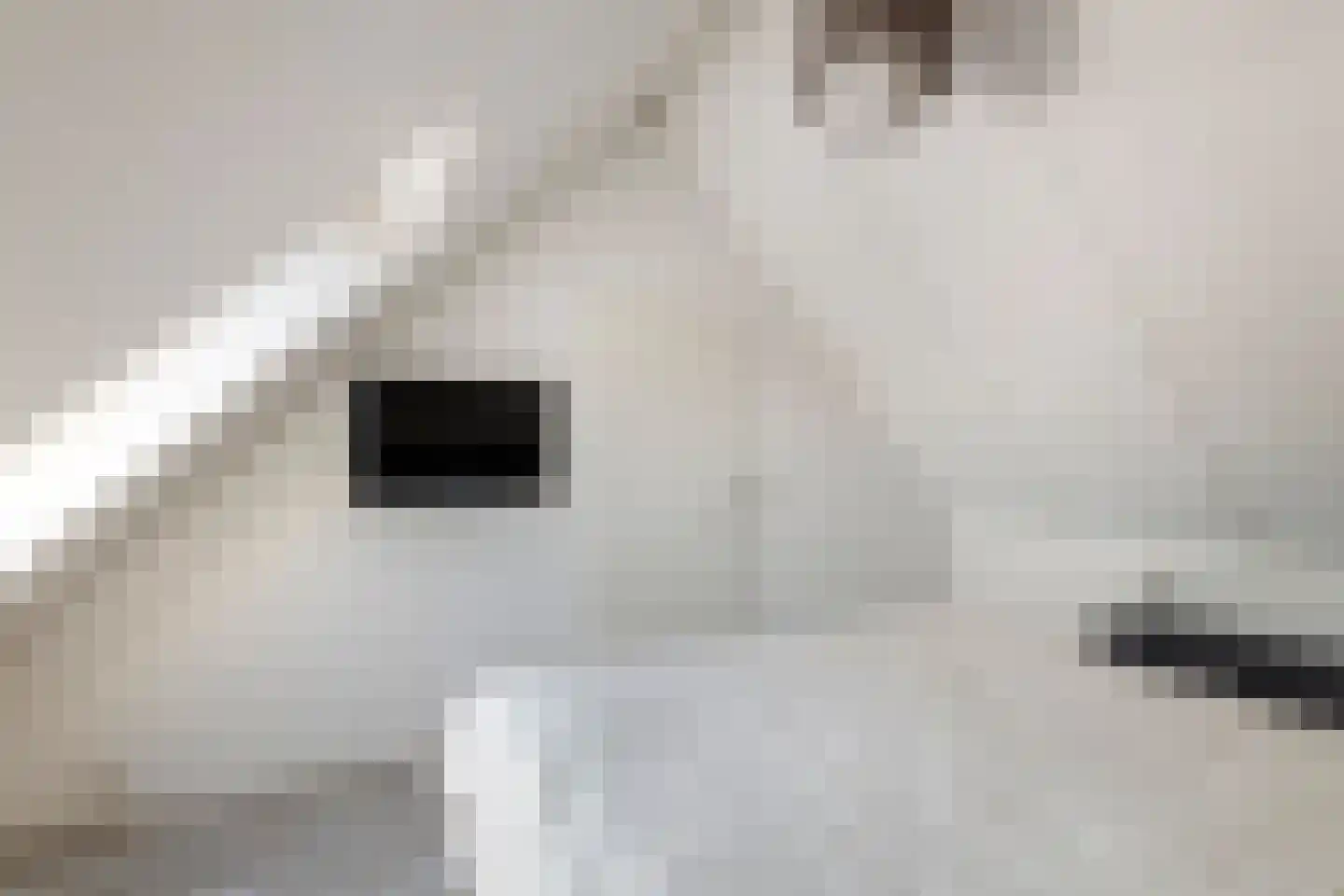 Dolderd 25 Druten thumbnail 34