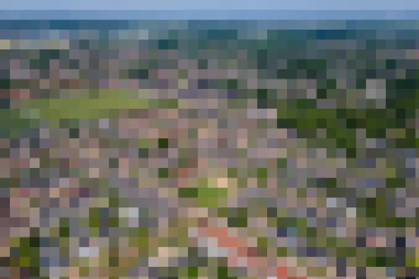 Dolderd 25 Druten thumbnail 43