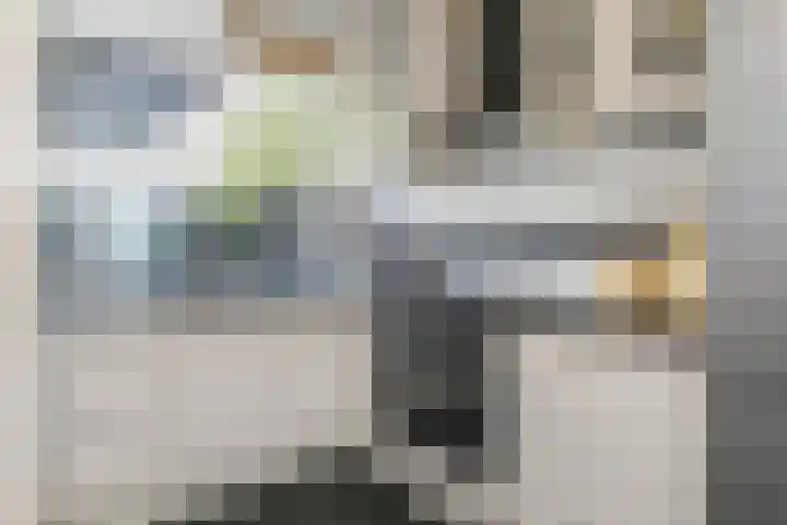 Doldersestraat 2 Den Haag thumbnail 15
