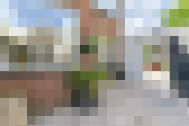 Doldersestraat 2 Den Haag thumbnail 18