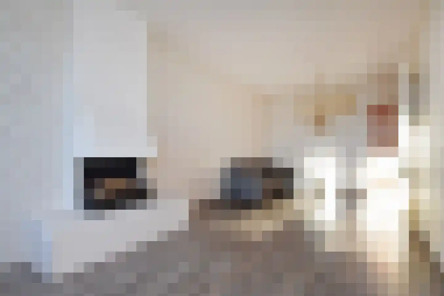 Doldersestraat 25 Den Haag thumbnail 4