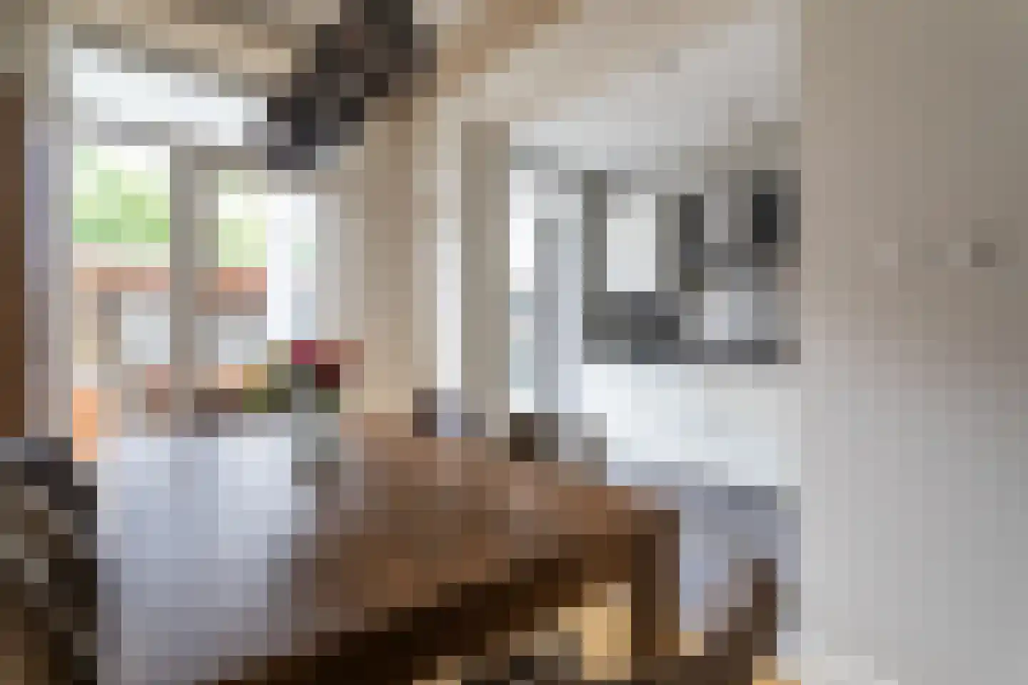 Doldersestraat 70 Den Haag thumbnail 11