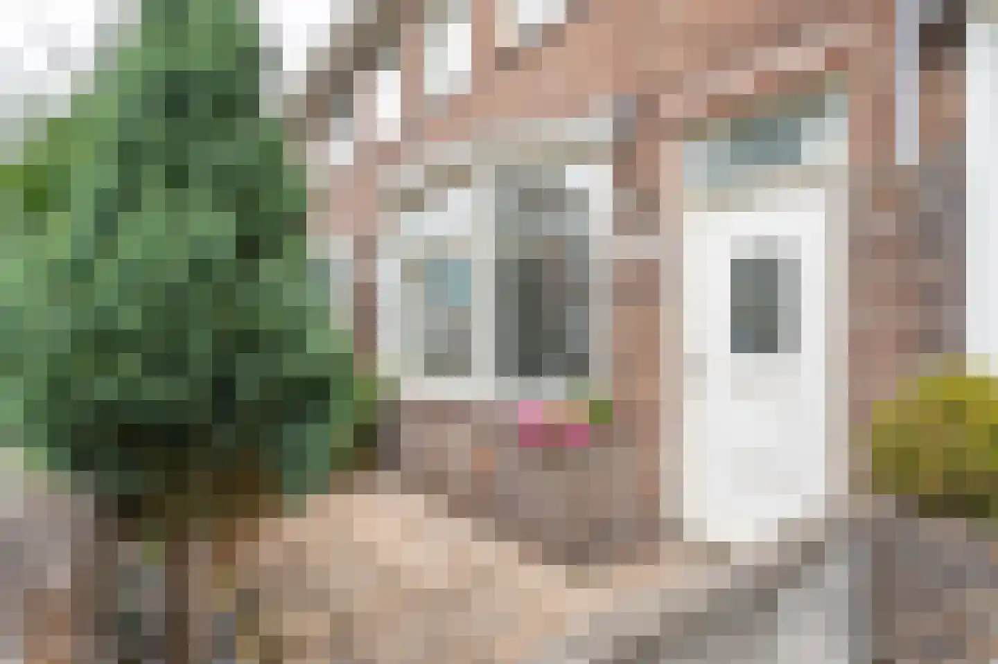 Doldersestraat 70 Den Haag thumbnail 55
