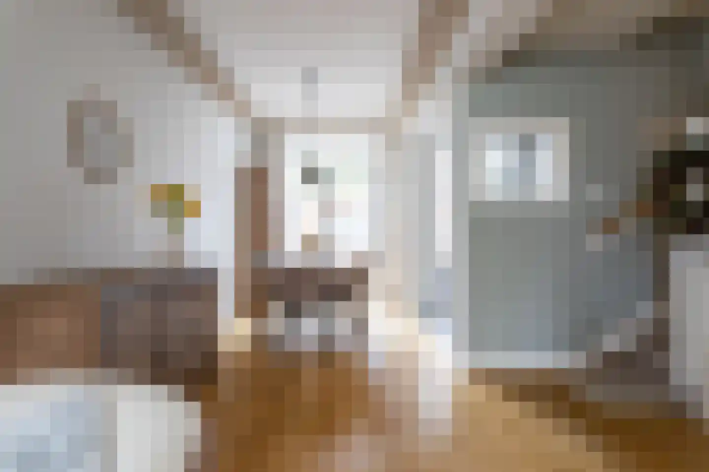 Doldersestraat 70 Den Haag thumbnail 9