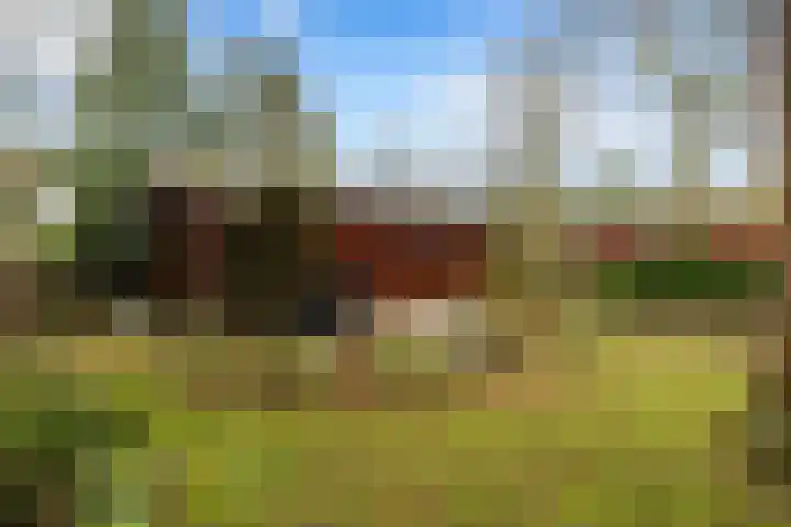 Dolderseweg 11 14 Soest thumbnail 15
