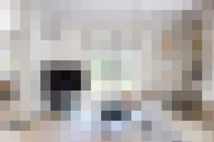 Dolderseweg 120 A Den Dolder thumbnail 14