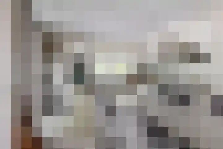 Dolderseweg 120 A Den Dolder thumbnail 15