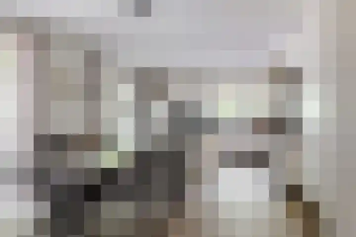 Dolderseweg 120 A Den Dolder thumbnail 16
