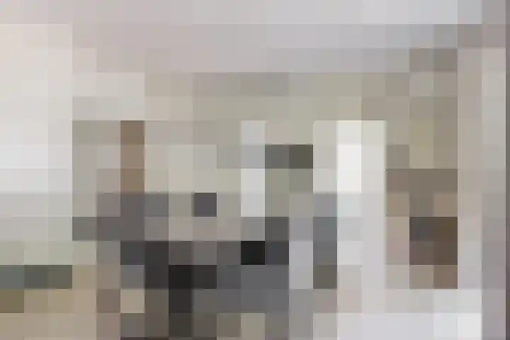 Dolderseweg 120 A Den Dolder thumbnail 17