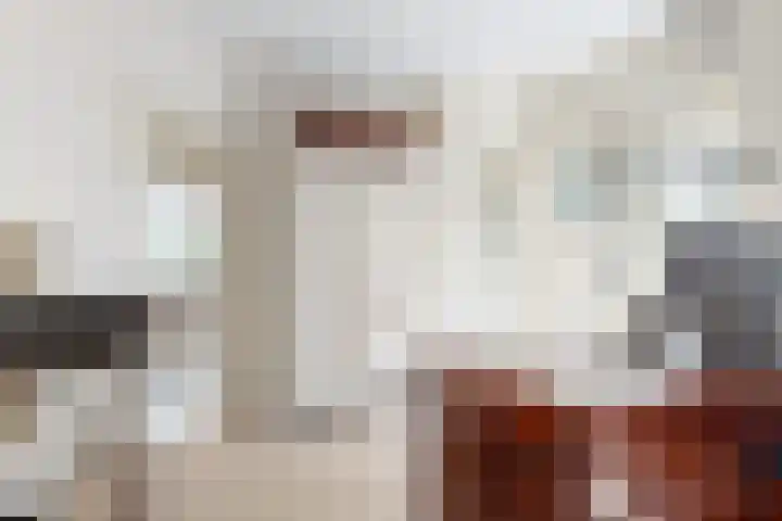 Dolderseweg 120 A Den Dolder thumbnail 22